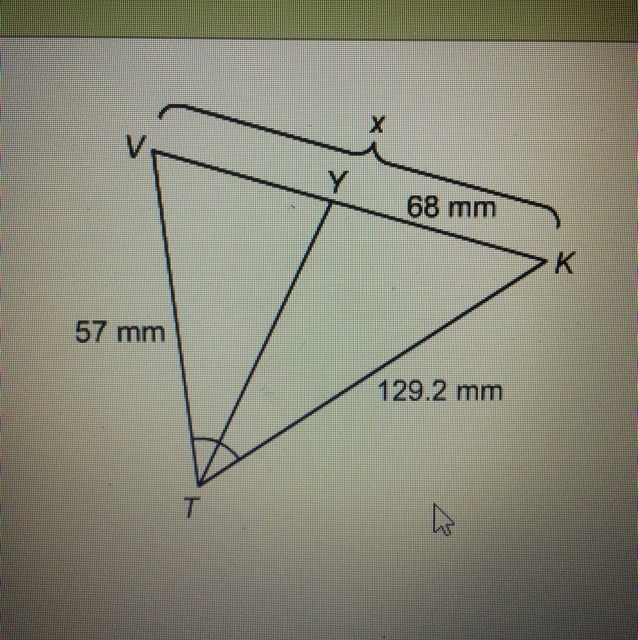 What is the value of x?-example-1