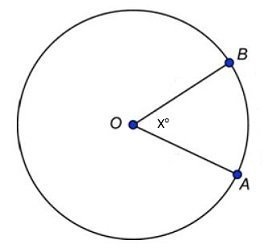 The circle with center O has a radius of 4 centimeters. If x = 30°, what is the length-example-1