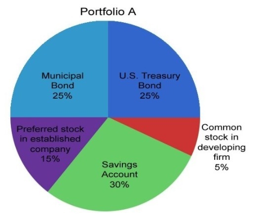 Evaluate the diversity of this portfolio. Explain, using complete sentences, if this-example-1