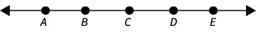 Look at the figure. How many different labeled rays are shown?-example-1