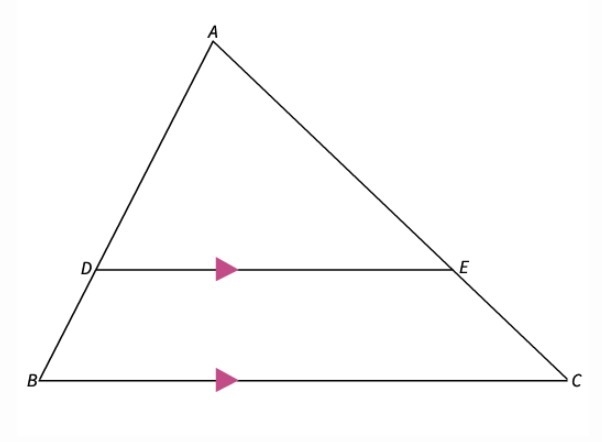 Select the postulate or theorem that you can use to conclude that the triangles are-example-1