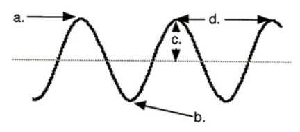 What part of the wave does "D" represent? A. Wave length B.The amplitude-example-1