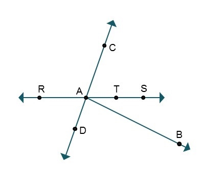 Analyze the diagram to answer the questions. Another way to name SAC would be . A-example-1