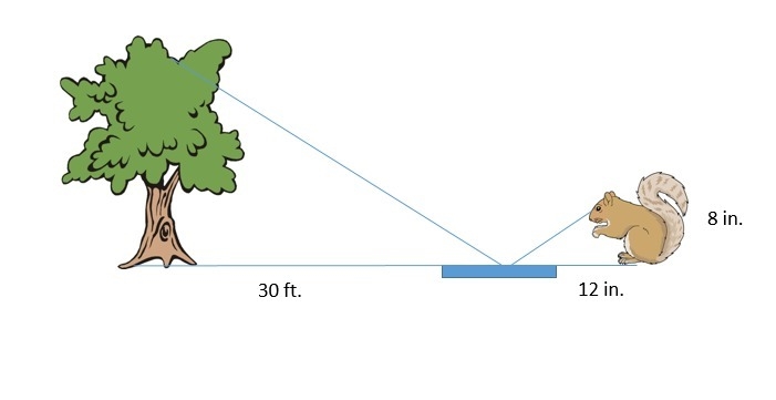 5. Earl the Squirrel wants to know how high he has to climb to reach the top of the-example-1