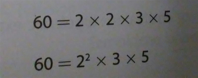 Find the prime factorization of 60-example-1