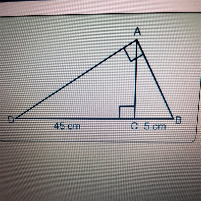 What is the length of AC? A. 12cm B. 10cm C. 15 cm D. 20 cm-example-1