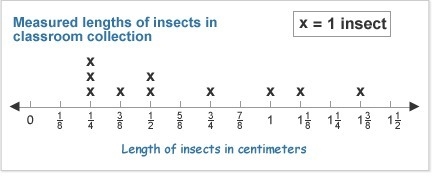 What is the difference in length between the longest insect and the shortest insect-example-1