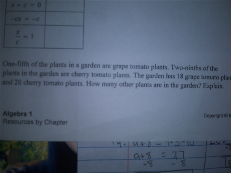 one-fifth of the plants in a garden are grape tomato plants . Two-ninths of the plants-example-1