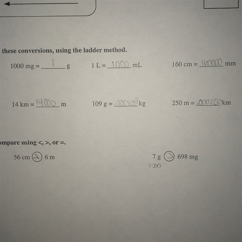 Is this correct? (Metric system)-example-1