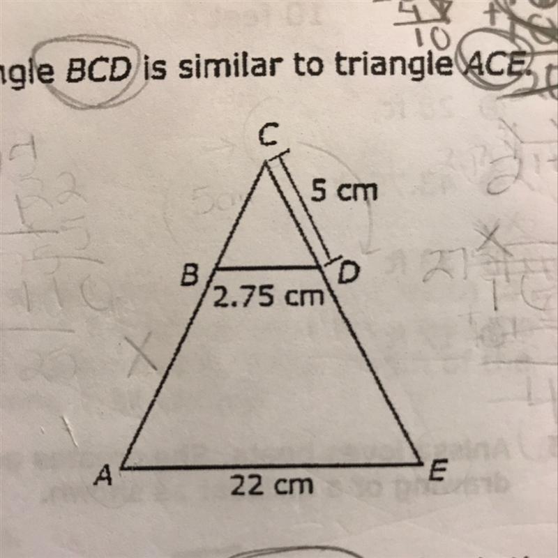 Triangle BCD is similar to triangle ACE. If the triangles are isosceles, what is the-example-1