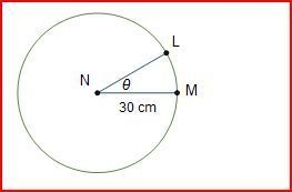 Consider circle N with radius 30 cm and θ = radians. What is the approximate length-example-1