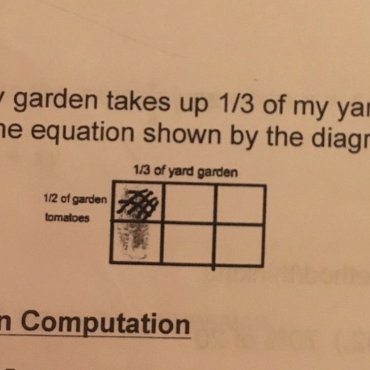 My garden takes up 1/3 of my yard; I plant tomatoes in 1/2 of the garden. Write and-example-1