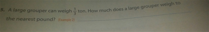 A large grouper can weigh 1/3 ton. How much does a large grouper weigh to the nearest-example-1