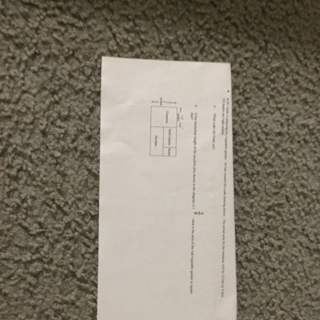 A.)What scale did hank use b.)If the horizontal length of the zucchini plot shown-example-1