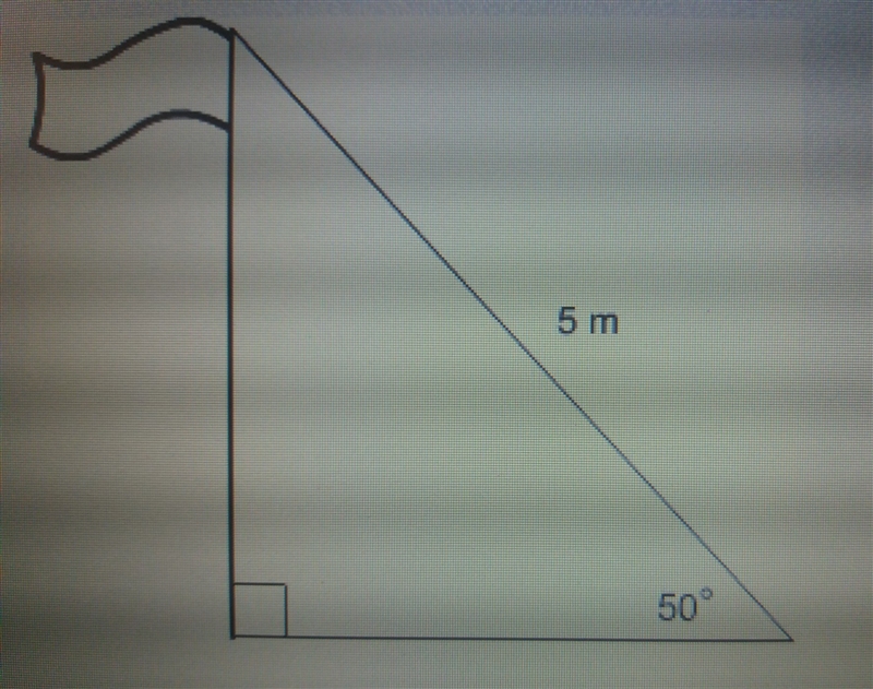 Which equation could be used to find the height of the flagpole A. x = 4 sin 40° B-example-1