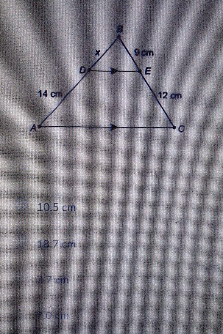 What is the value of x?-example-1