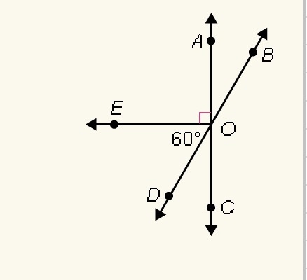 Which angle is supplemantary to eoa a. eod b. aob c. eoc d. aoc-example-1