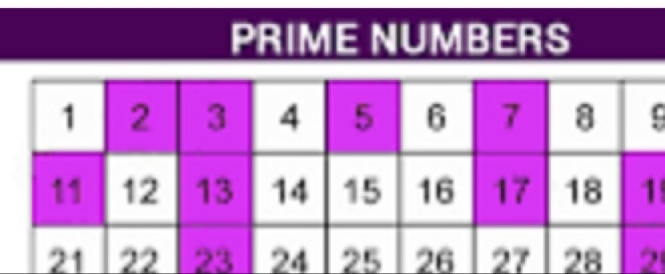 What best describe the number 5 . Write prime composite neither prime nor composite-example-1