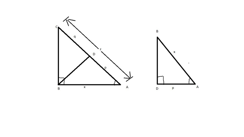 In the diagram abc=adb=90, ad=p and dc=q. Use similar triangles to show that x2=pz-example-1