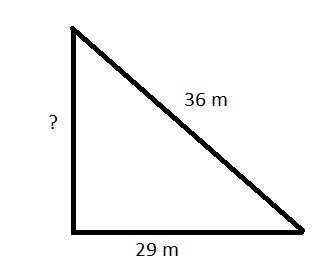 The length of a shadow of a building is 29m. The distance from the top of the building-example-1