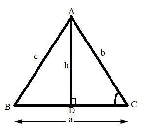 Consider the diagram and the derivation below. Given: In △ABC, AD ⊥ BC Derive a formula-example-1