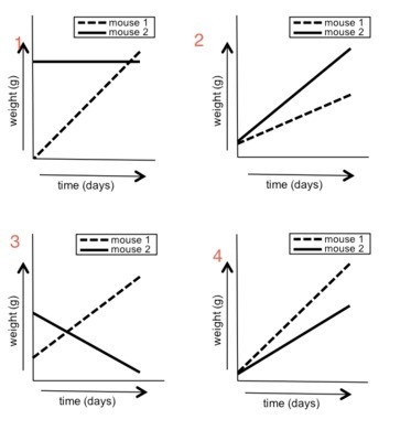 Mikey has two mice that were about the same age and weight Mikey fed each of the 2 mice-example-1