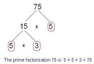 What’s is the prime factorization for 75-example-1