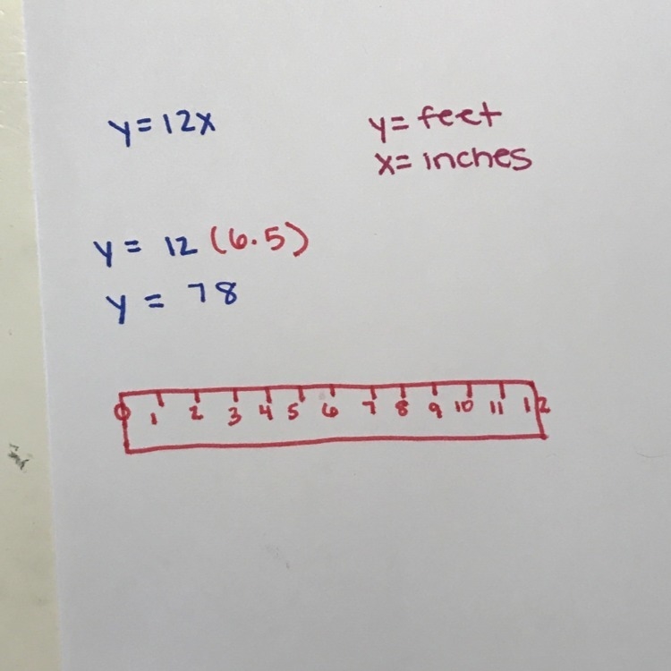 there are tweleve inches in one foot, creating the equation y=12x. If a door frame-example-1