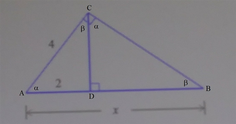 Find the exact value of x please help-example-1