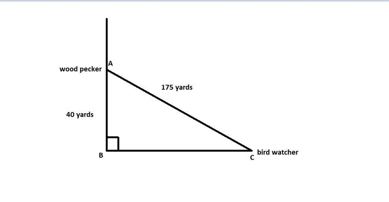 A bird watcher spied a woodpecker. The bird watcher is 40 yards lower than the woodpecker-example-1