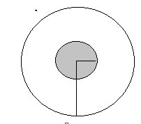 The figure below shows a shaded circular region inside a larger circle: A shaded circle-example-1