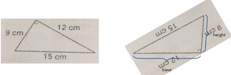 Which is the base and which is the height?-example-1