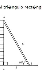 A 12-foot ladder rests against a brick wall at angle of 60°. Which expression gives-example-1