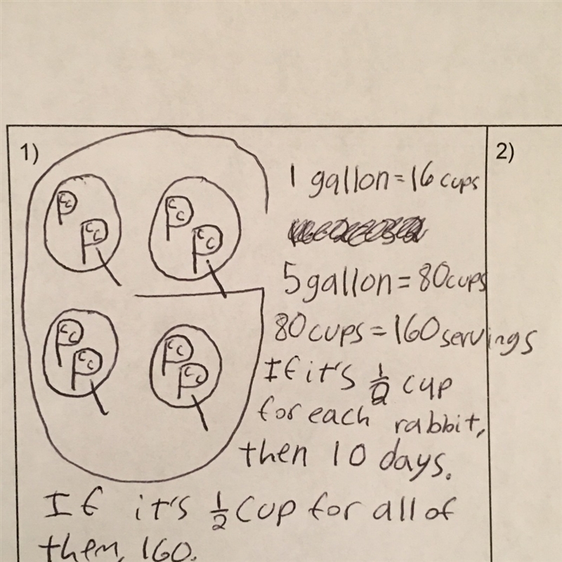 she has 16 rabbits and feeds them one half cup of food every morning the bag she bought-example-1