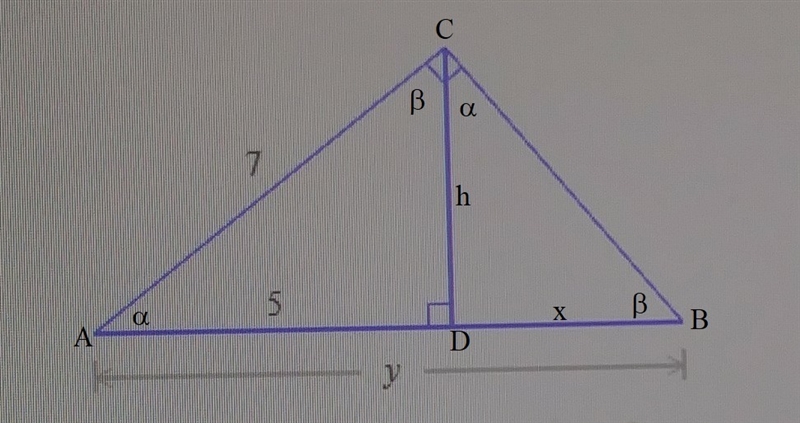 Find the exact value of y-example-1