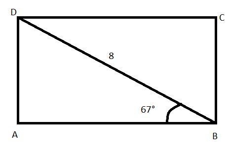 ABCD is a rectangle. The length of BD is 8 units, and m angle ABD is 67°. The length-example-1