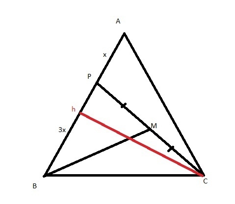 n △ABC, point P∈ AB is so that AP:BP=1:3 and point M is the midpoint of segment CP-example-1