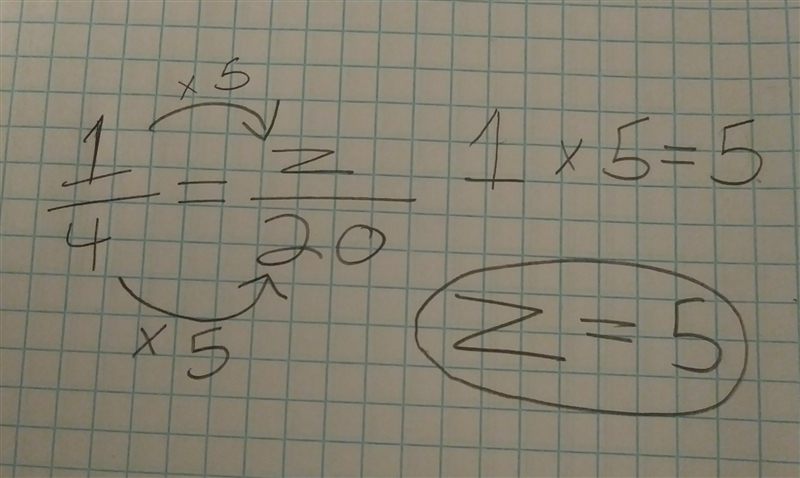 1/4 = z/20 Plzzz i need this done ASAPP!!!!!!! ill give 30 points-example-1