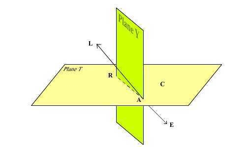 draw and label the figure that meets the following characteristics. plane T contains-example-1