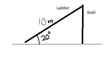 A 10 meter ladder is inclined against a wall at an angle of elevation of 20°. If the-example-1