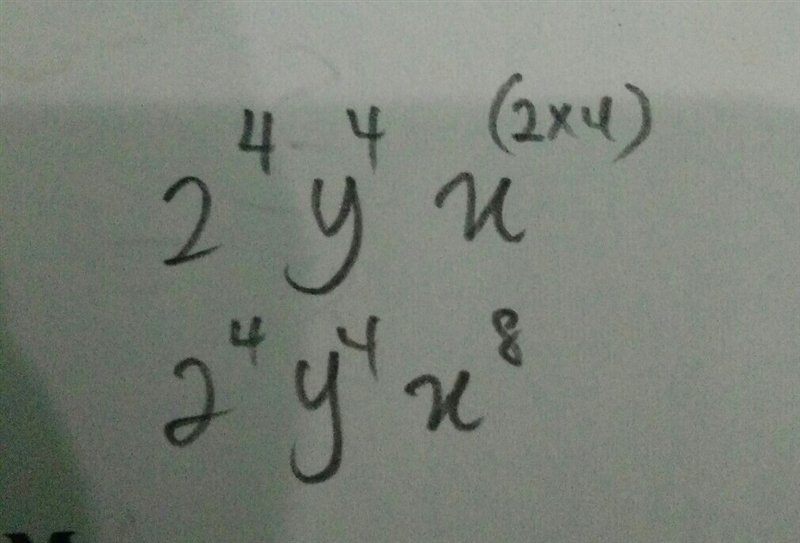 ( {2yx}^(2) )^(4)-example-1