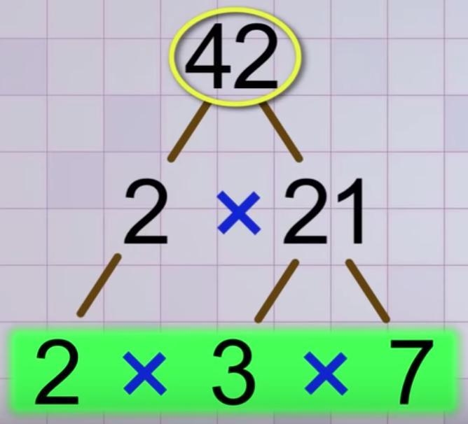 Prime factorization of 42-example-1