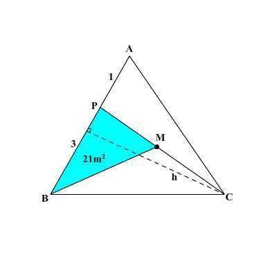 In △ABC, point P∈ AB is so that AP:BP=1:3 and point M is the midpoint of segment CP-example-1