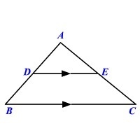 How to i solve for x in this situation? thank yous.-example-1