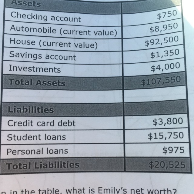 Emily created the net worth statement shown . Based on the information in the table-example-1