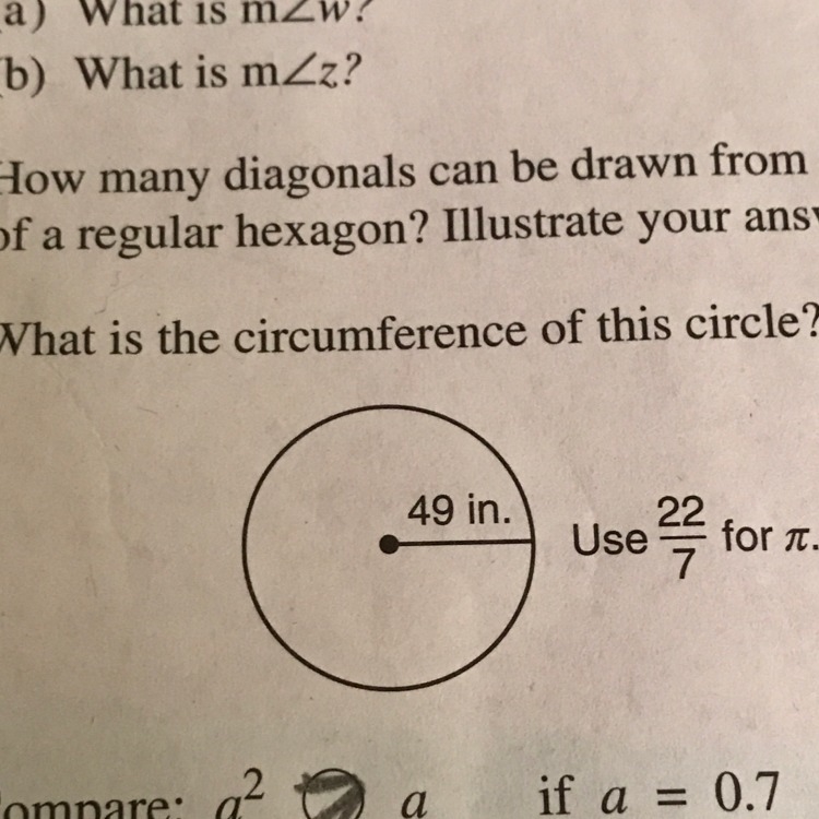 What is the circumference of this circle?-example-1