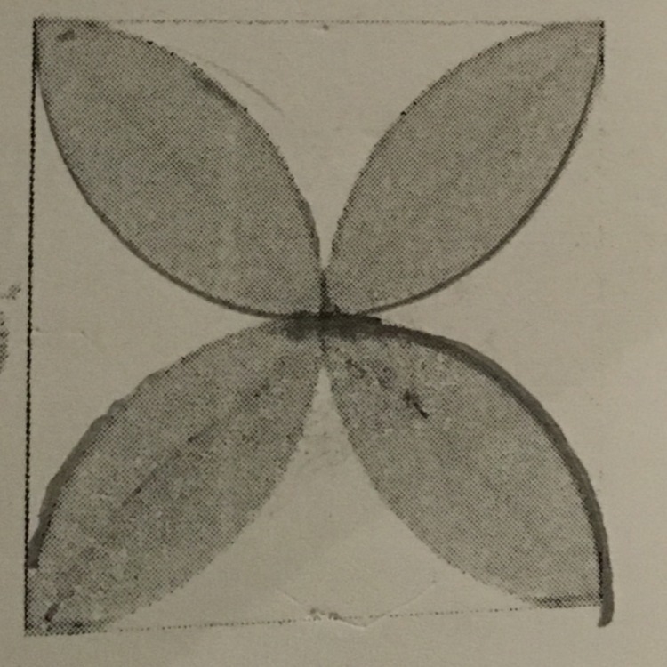 The diameter was of four half circles are sides of a square with a side length of-example-1