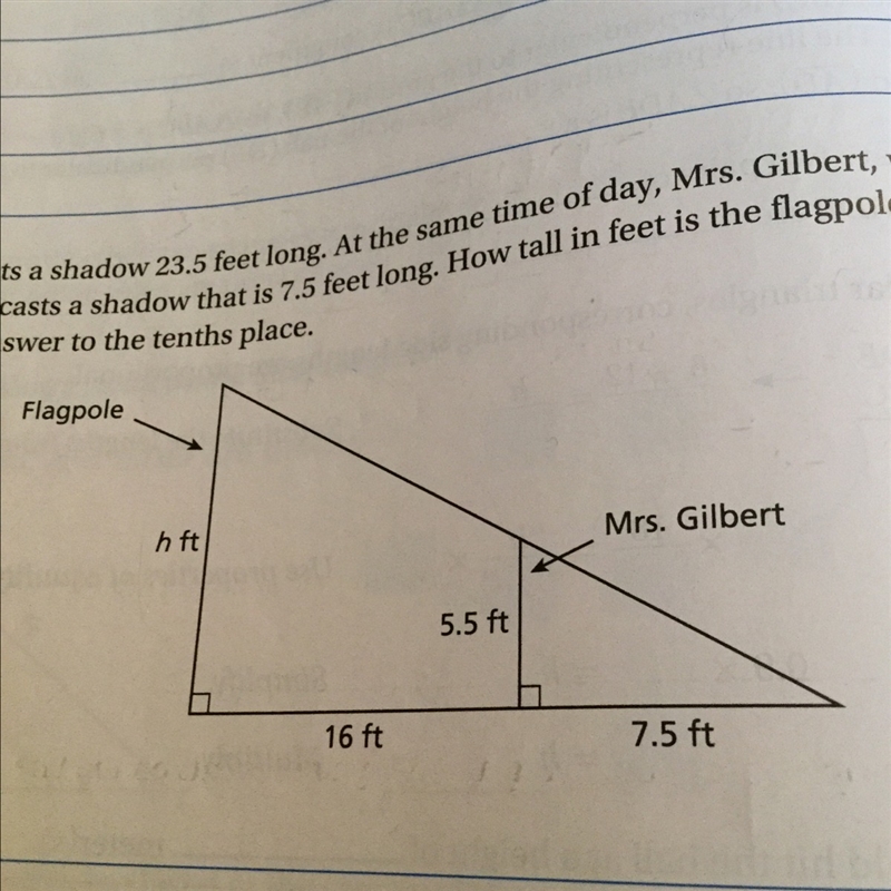 A flagpole casts a shadow 23.5 feet long. At the same time of day, Mrs.Gilbert, who-example-1