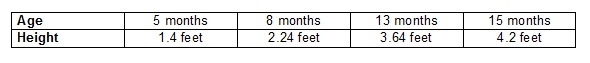 The following measurements were taken of a tree. Do the age and height show direct-example-1