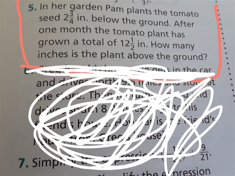 In her garden pan plants the tomato seeds-example-1